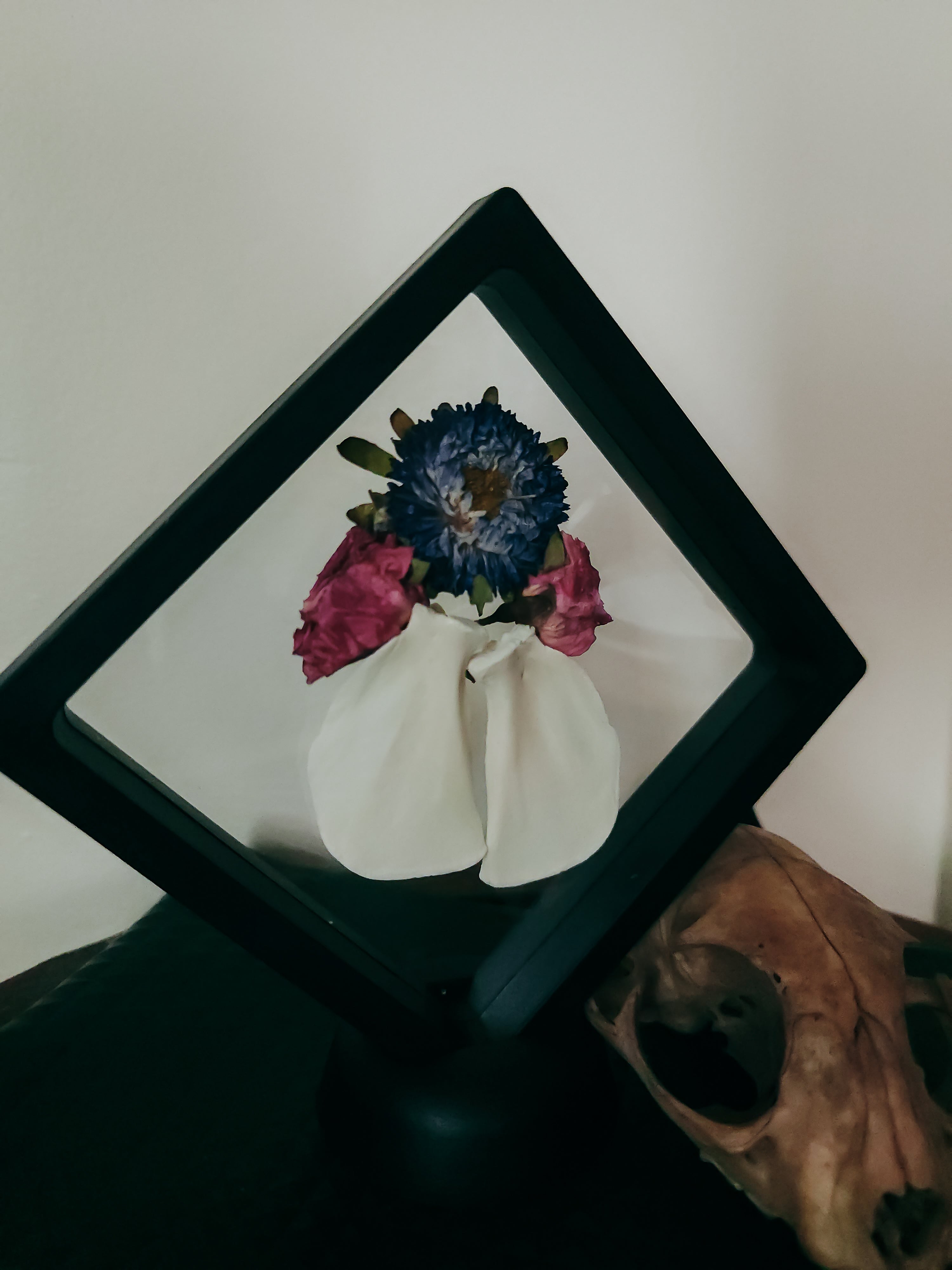 Red Fox Scapula Bones with Preserved Asters and Roses - Symbolic Nature Display