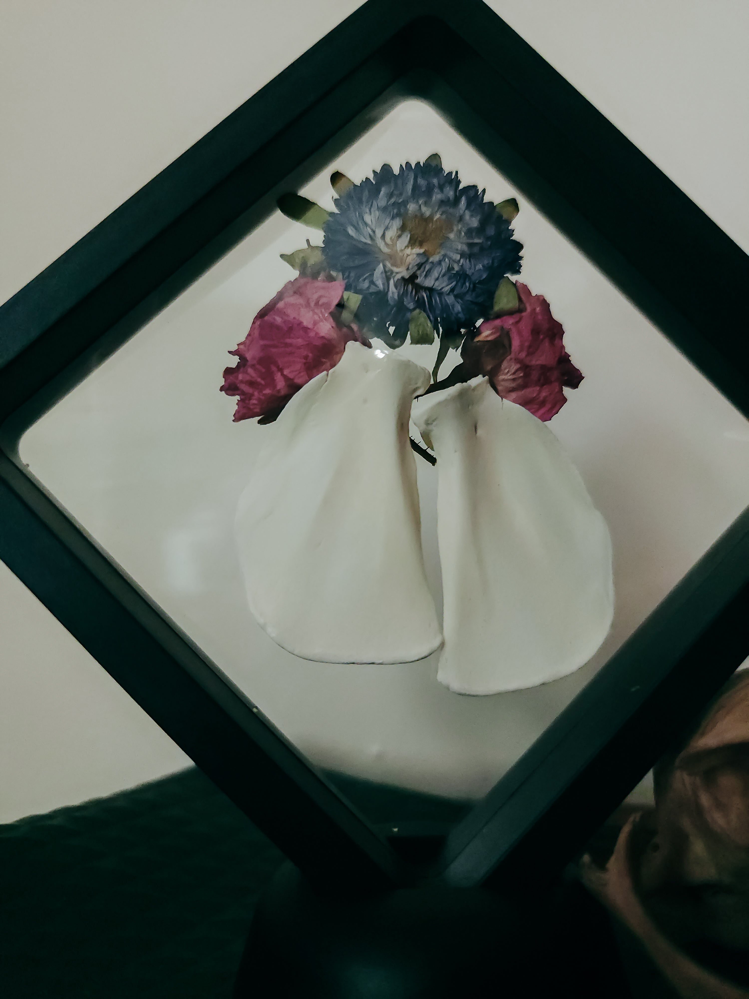 Red Fox Scapula Bones with Preserved Asters and Roses - Symbolic Nature Display