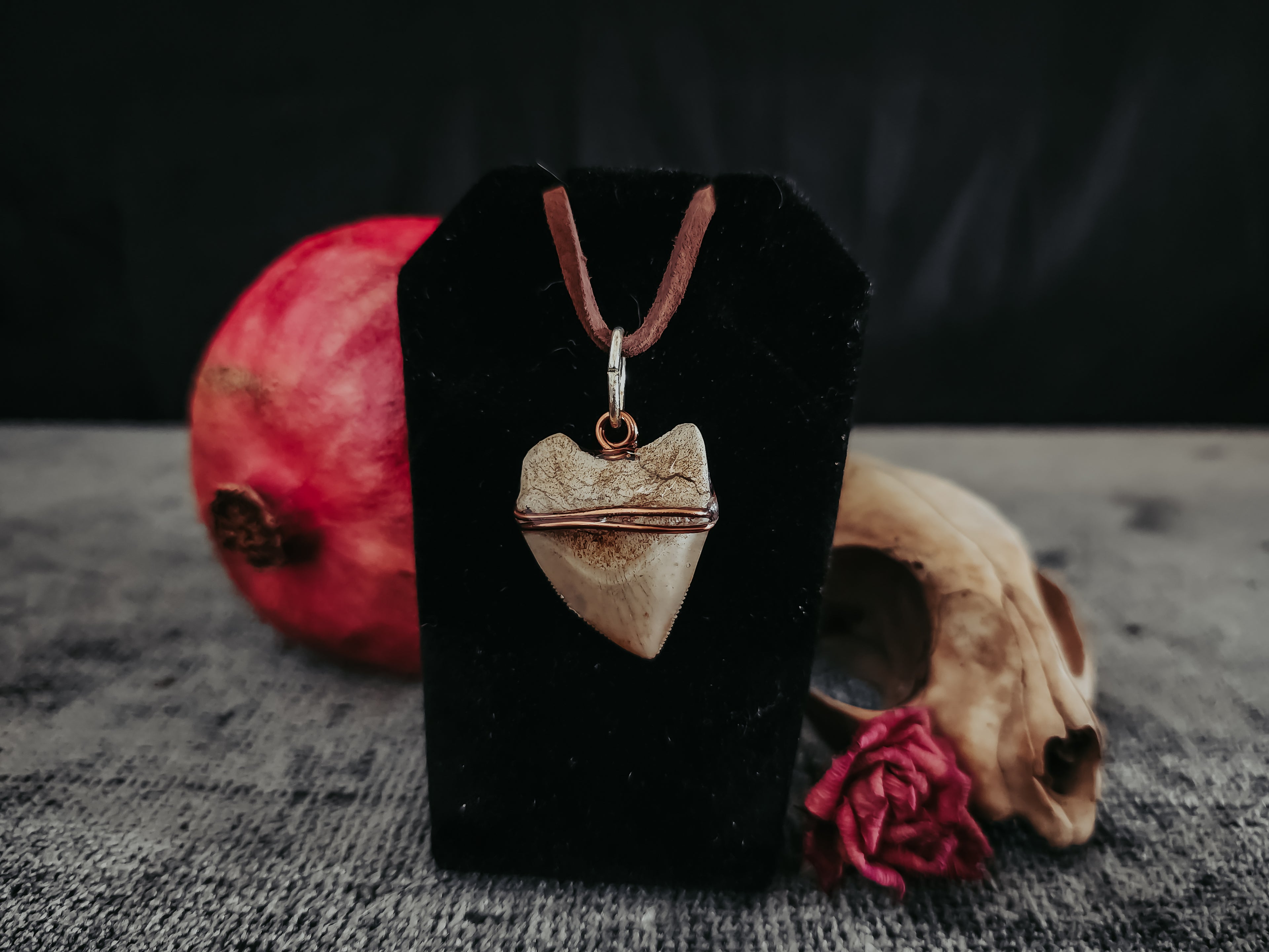 20" wire wrapped Shark Tooth Necklace – Shark Tooth Pendant for Protection, Strength & Ocean Symbolism