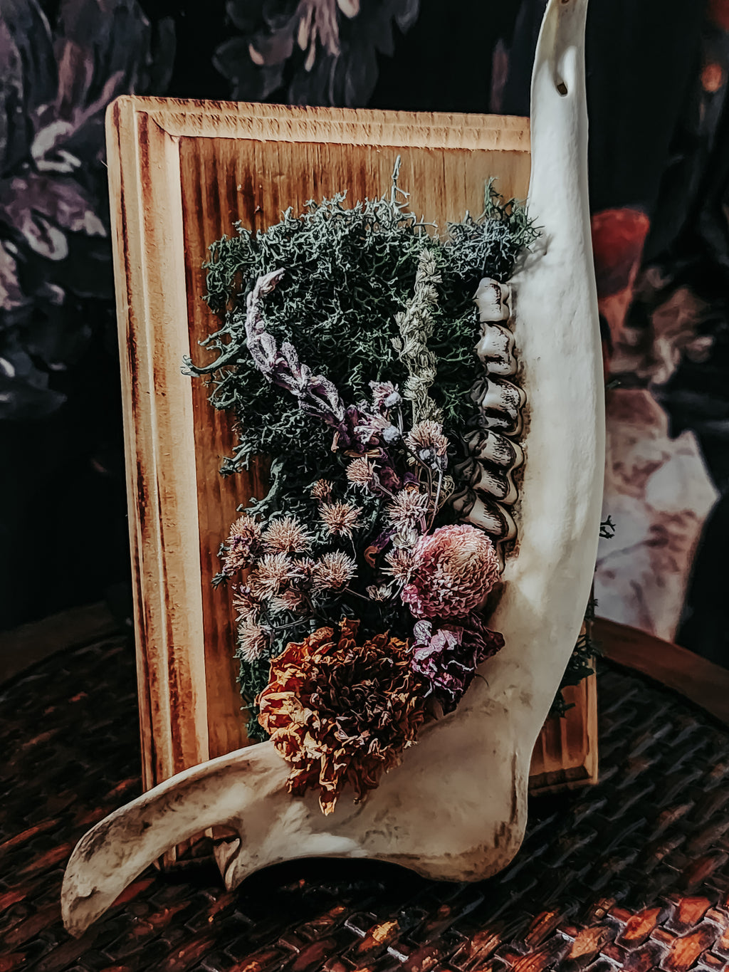 Deer Jaw Dried Flower Arrangement on Burned Wood Plaque with Moss – Rustic Woodland Wall Display