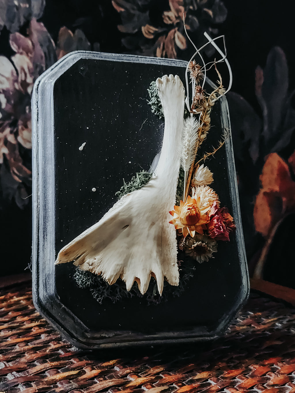 Turtle Bone Floral Arrangement on Painted Wood Plaque with Moss – Rustic Coastal Woodland Wall Display