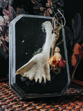 Turtle Bone Floral Arrangement on Painted Wood Plaque with Moss – Rustic Coastal Woodland Wall Display