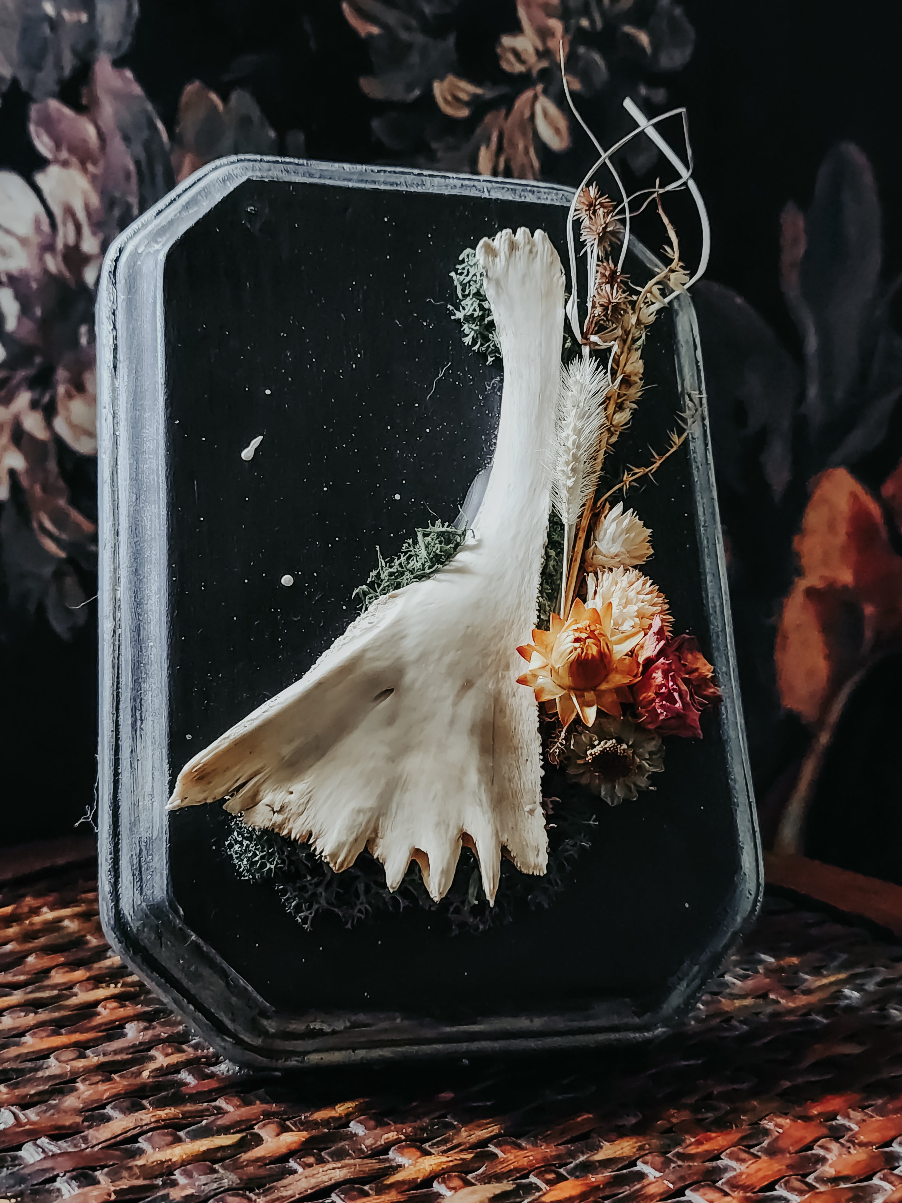 Turtle Bone Floral Arrangement on Painted Wood Plaque with Moss – Rustic Coastal Woodland Wall Display