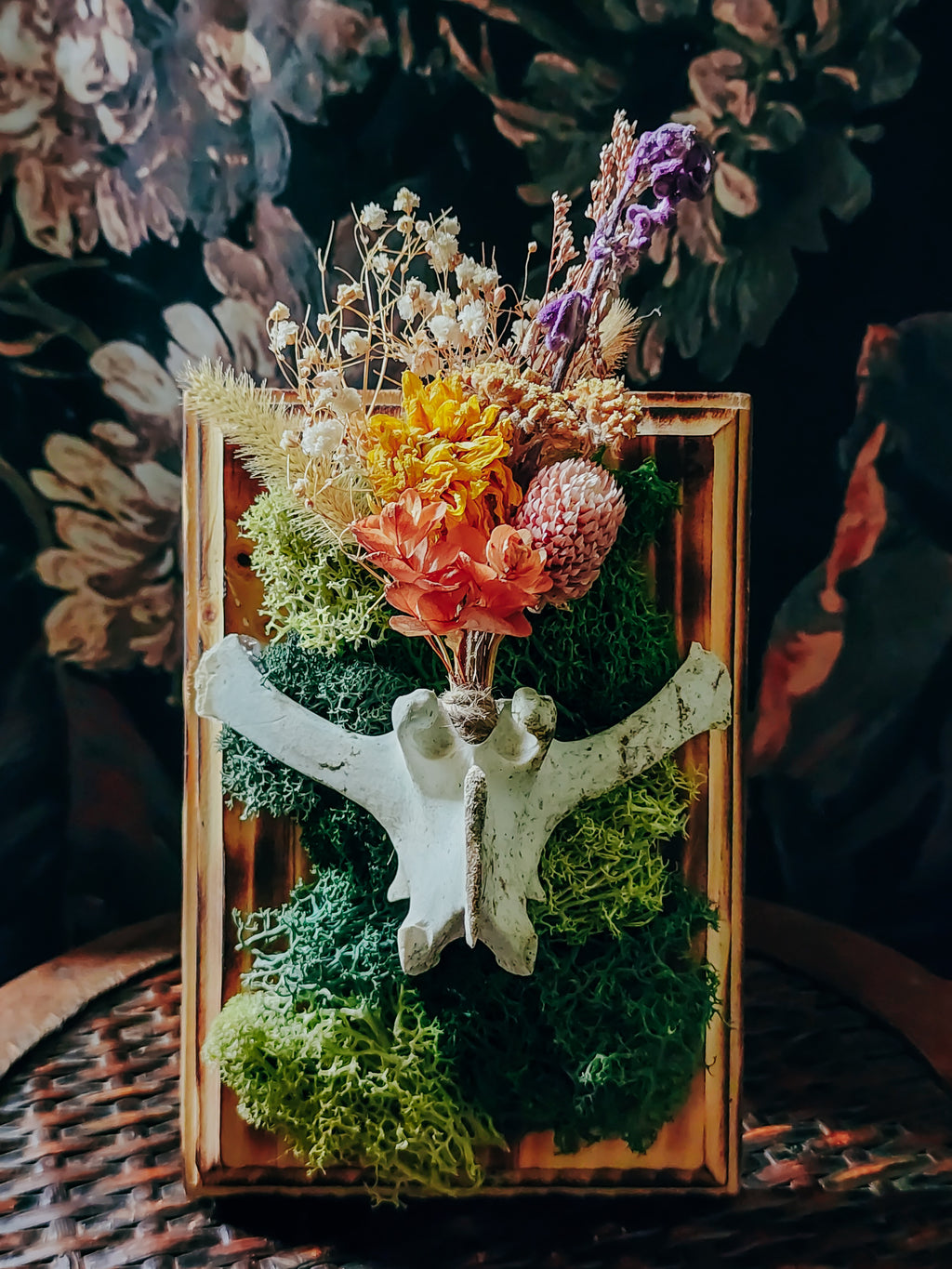 Deer Vertebrae Dried Flower Arrangement on Burned Wood Plaque with Moss – Rustic Woodland Wall Display