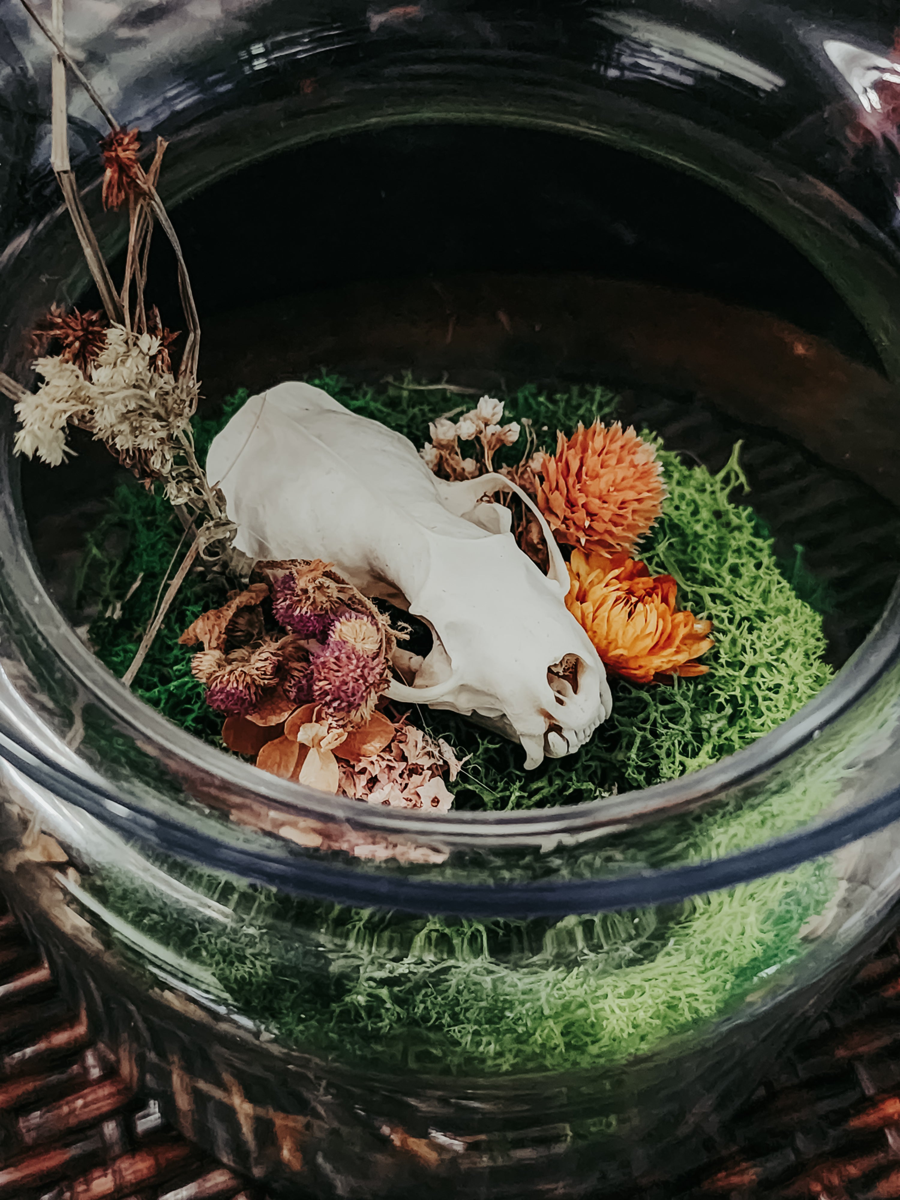Mink Skull Glass Bowl Display with Moss & Dried Flowers – Woodland Curio Nature Décor