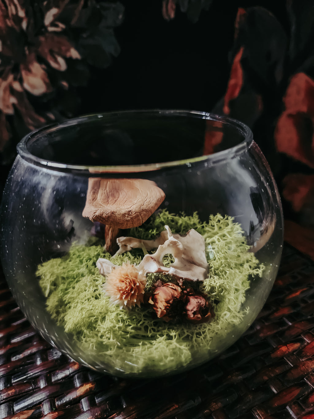 Small Turtle Pelvis Glass Bowl Display with Moss, Flowers & Mushroom – Woodland Curio Nature Décor