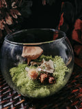 Small Turtle Pelvis Glass Bowl Display with Moss, Flowers & Mushroom – Woodland Curio Nature Décor