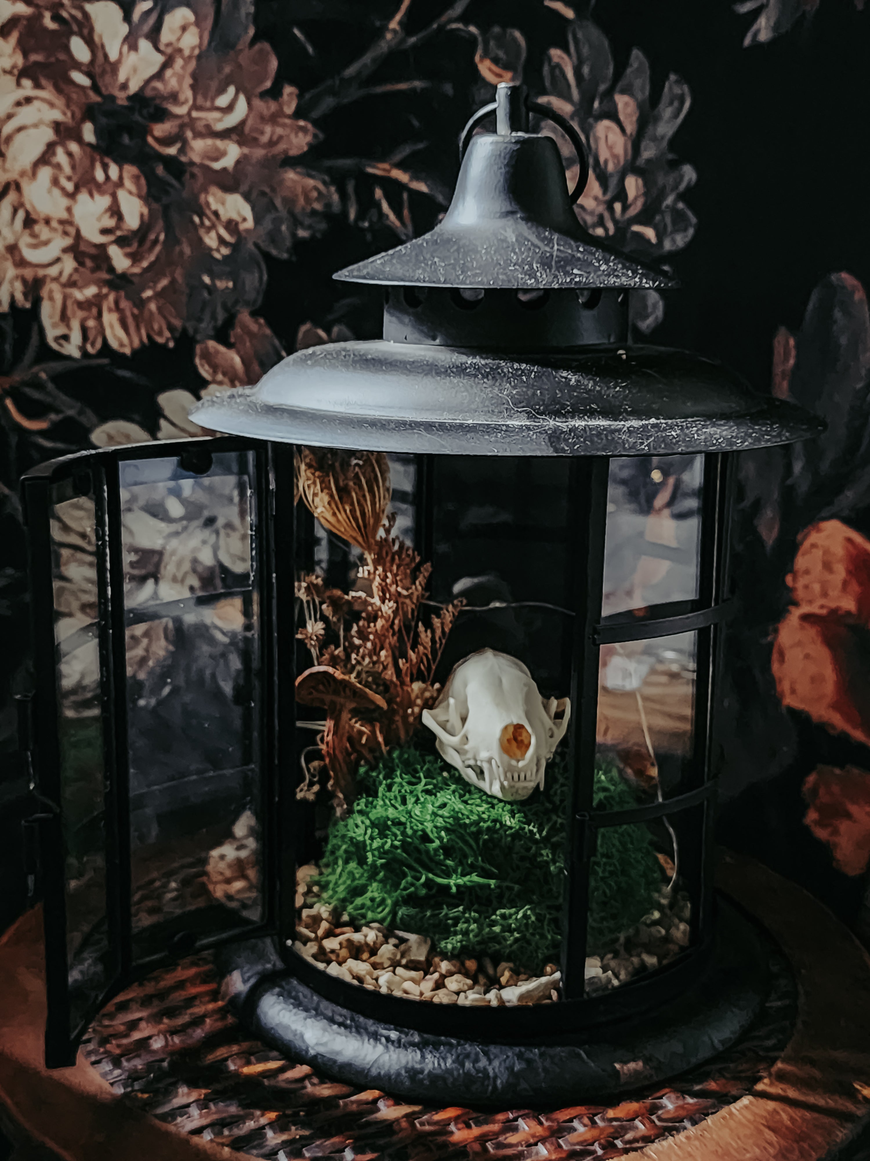 Skunk Skull Round Lantern Display with Moss, Dried Flowers & Fairy Lights – Woodland Gothic Nature Décor