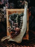 Deer Jaw Dried Flower Arrangement on Burned Wood Plaque with Moss – Rustic Woodland Wall Display