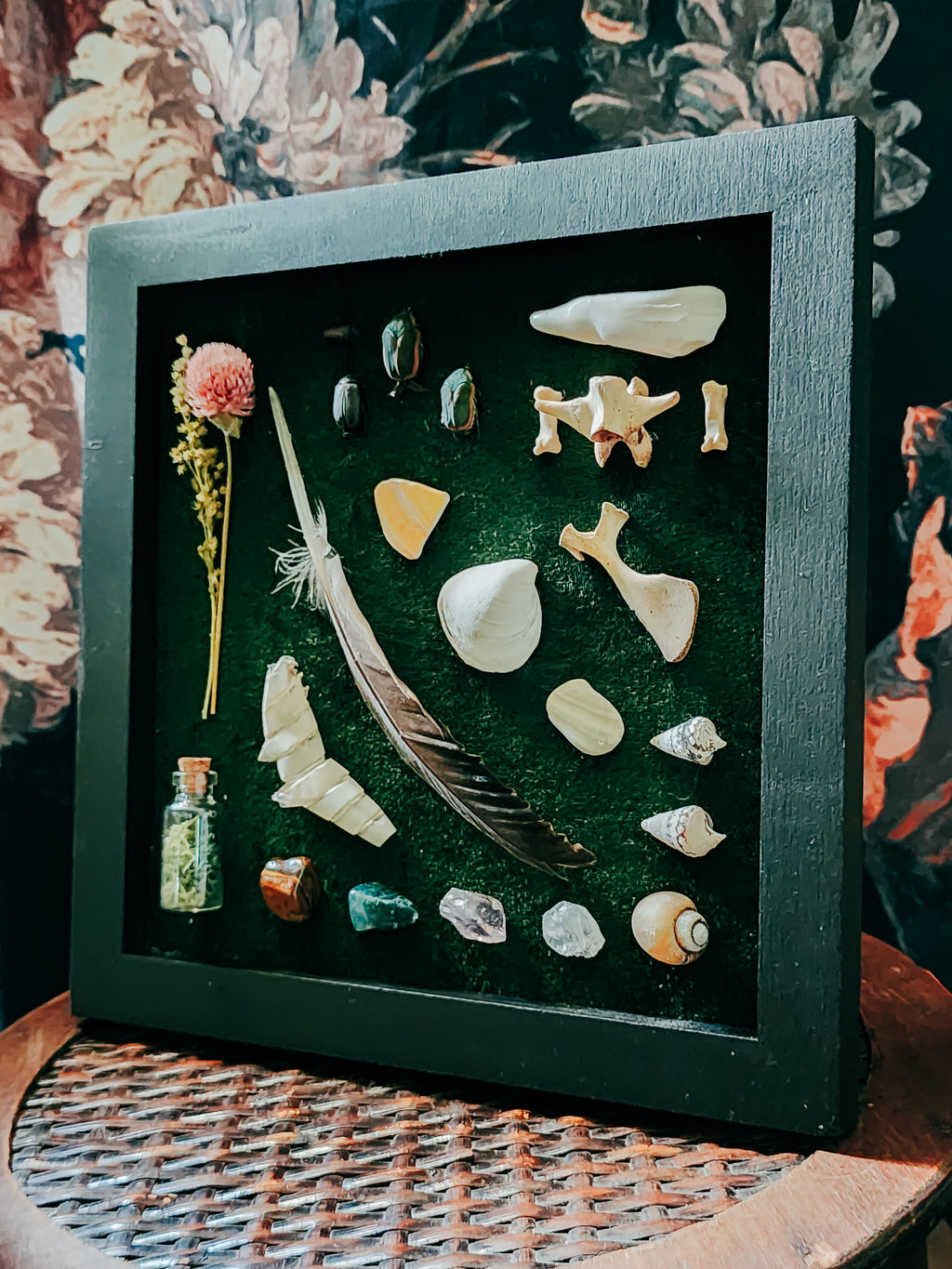 8x8 Black Shadow Box Natural Oddities Display on Green Velvet – Curio Beetles, Bones & Feather Wall Art