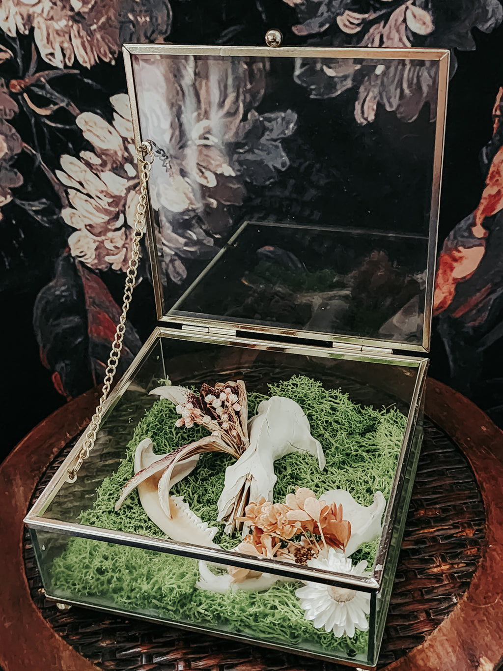 Opossum Skull Geometric Gold Box Display with Moss & Flowers – Woodland Curio Nature Décor