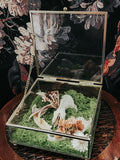 Opossum Skull Geometric Gold Box Display with Moss & Flowers – Woodland Curio Nature Décor