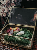 Vole Skull Small Gold Glass Box Display with Moss & Flowers – Woodland Curio Nature Décor
