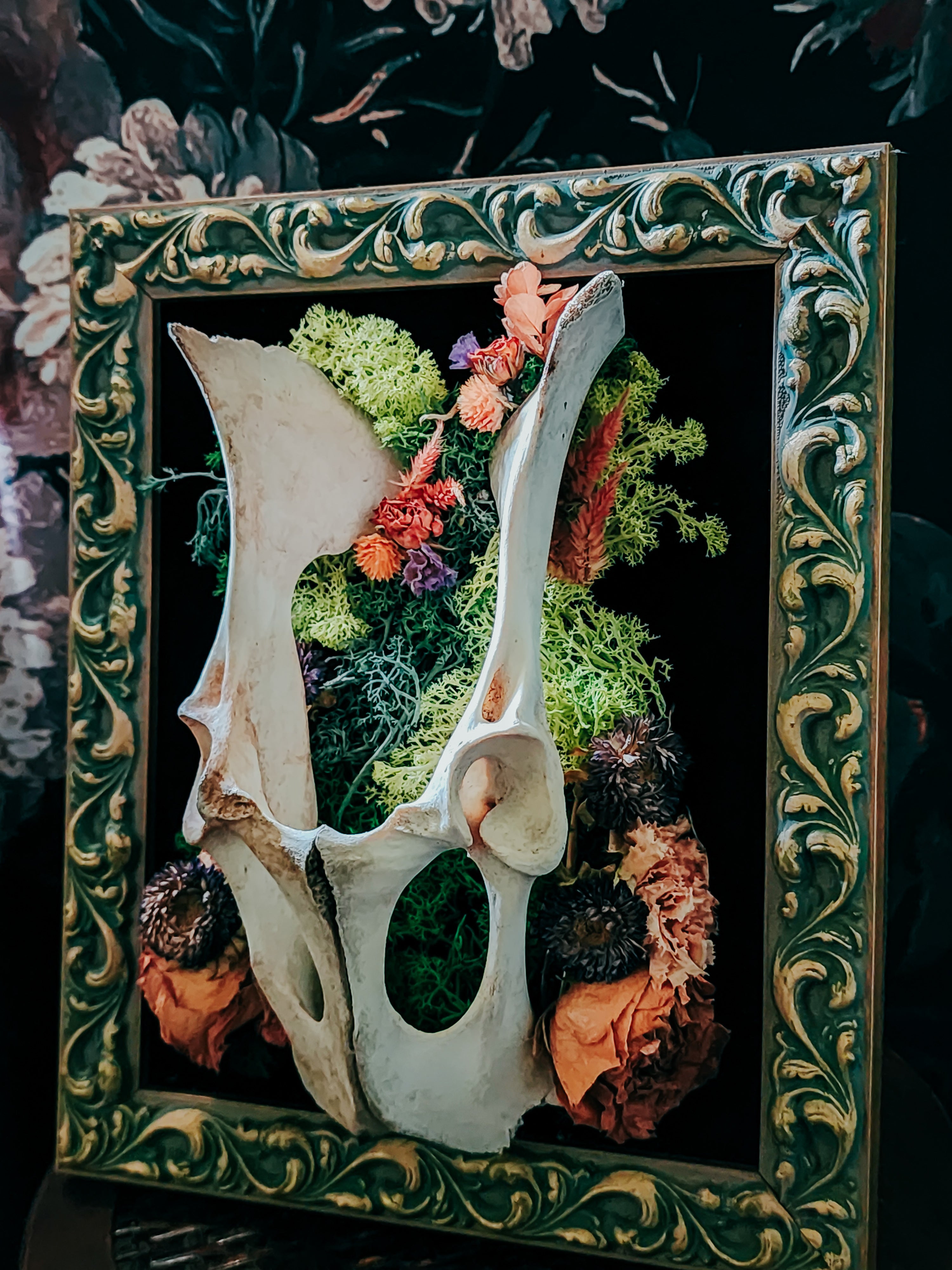 Deer Pelvis Velvet Frame Display with Moss & Dried Flowers – Vintage Gothic Woodland Wall Décor
