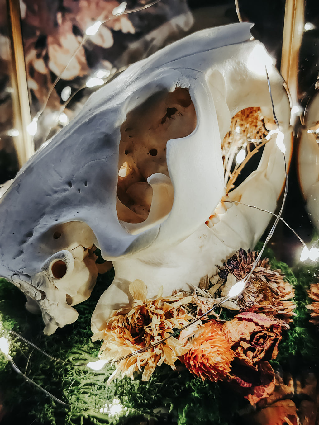 Beaver Skull Glass Lantern with Moss, Dried Flowers & Fairy Lights – Woodland Curio Nature Display