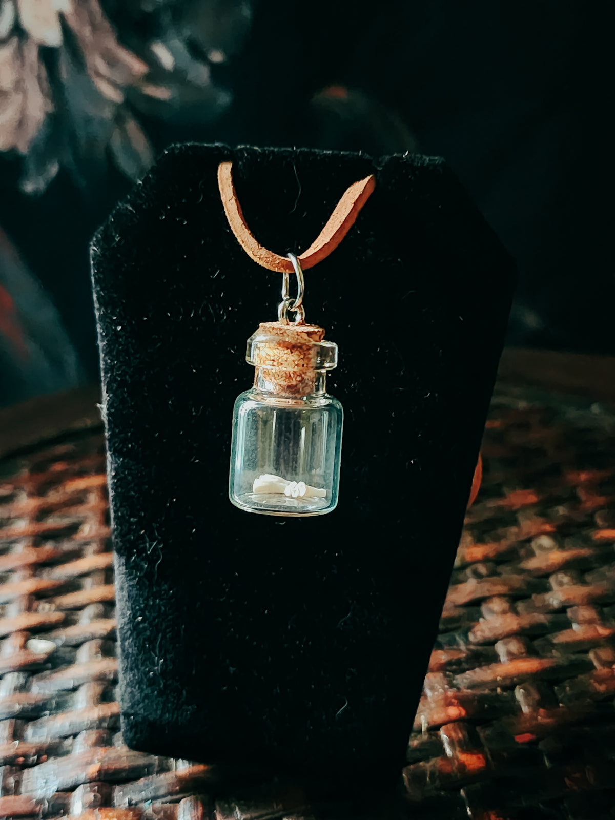 20" Muskrat Molars in Jar Pendant Necklace