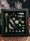 8x8 Black Shadow Box Natural Oddities Display on Green Velvet – Curio Beetles, Bones & Feather Wall Art