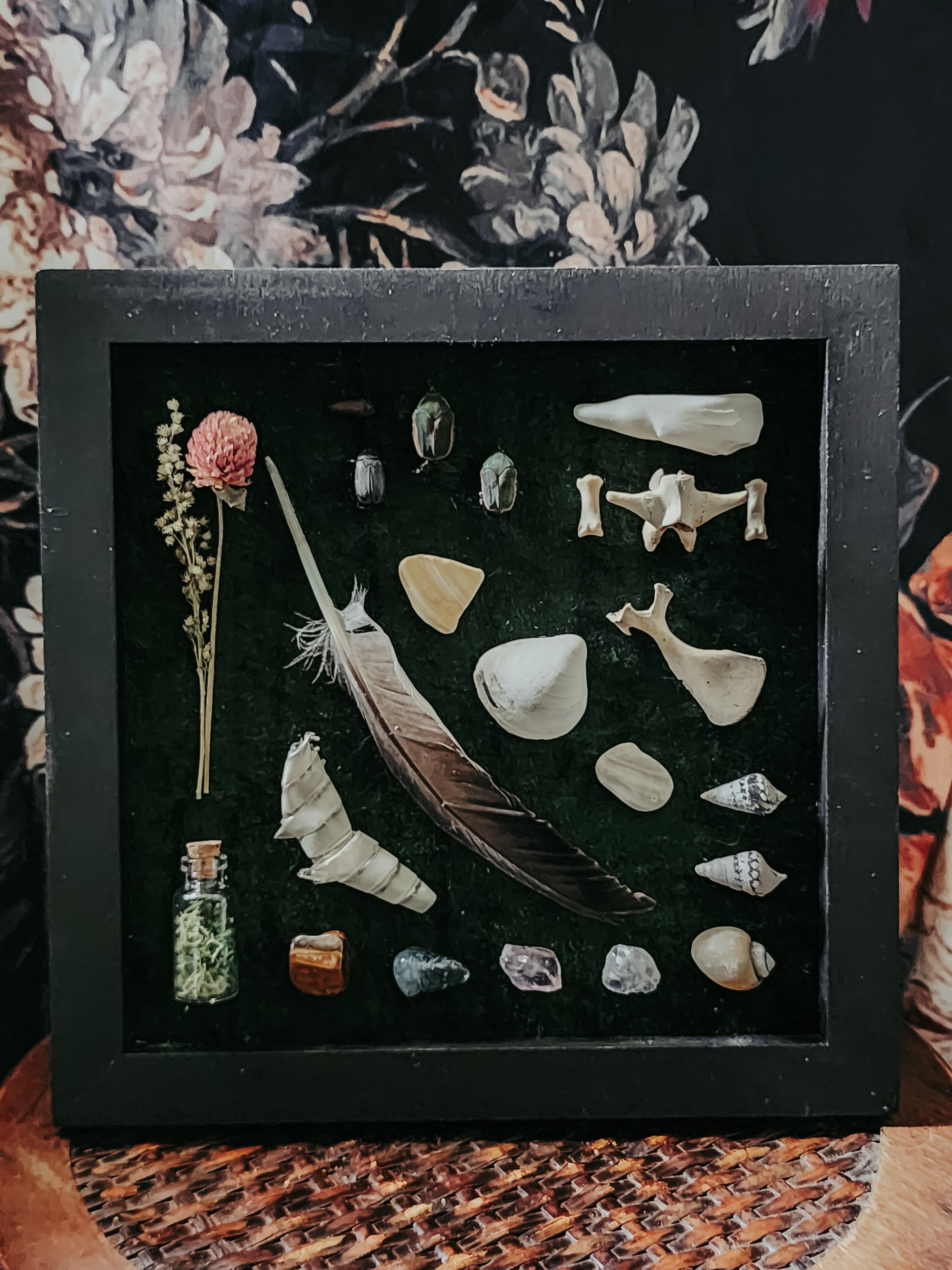 8x8 Black Shadow Box Natural Oddities Display on Green Velvet – Curio Beetles, Bones & Feather Wall Art