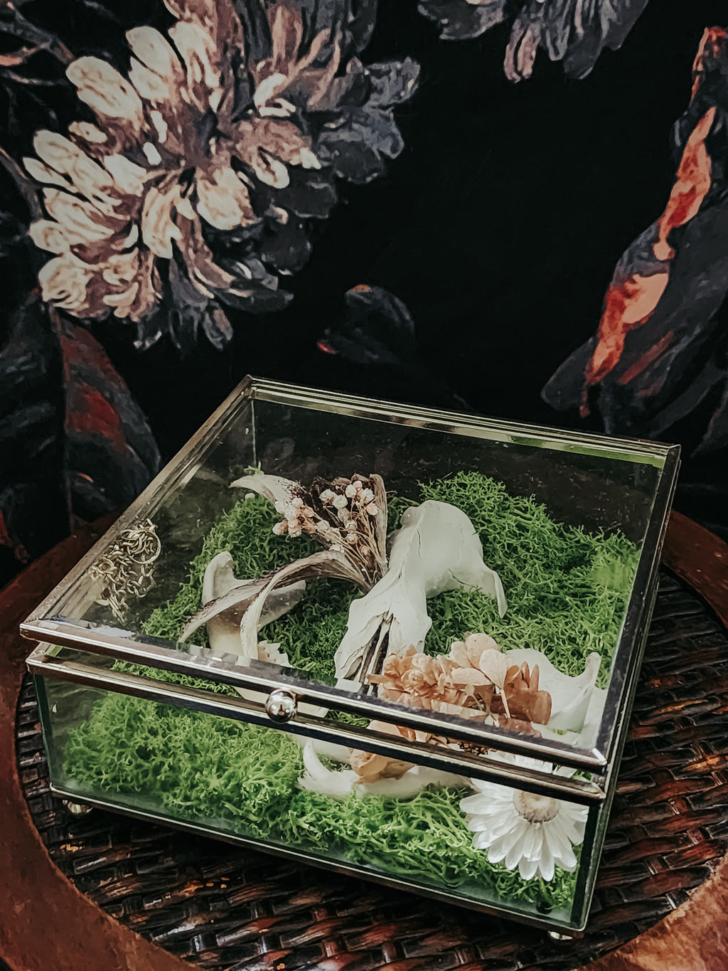 Opossum Skull Geometric Gold Box Display with Moss & Flowers – Woodland Curio Nature Décor