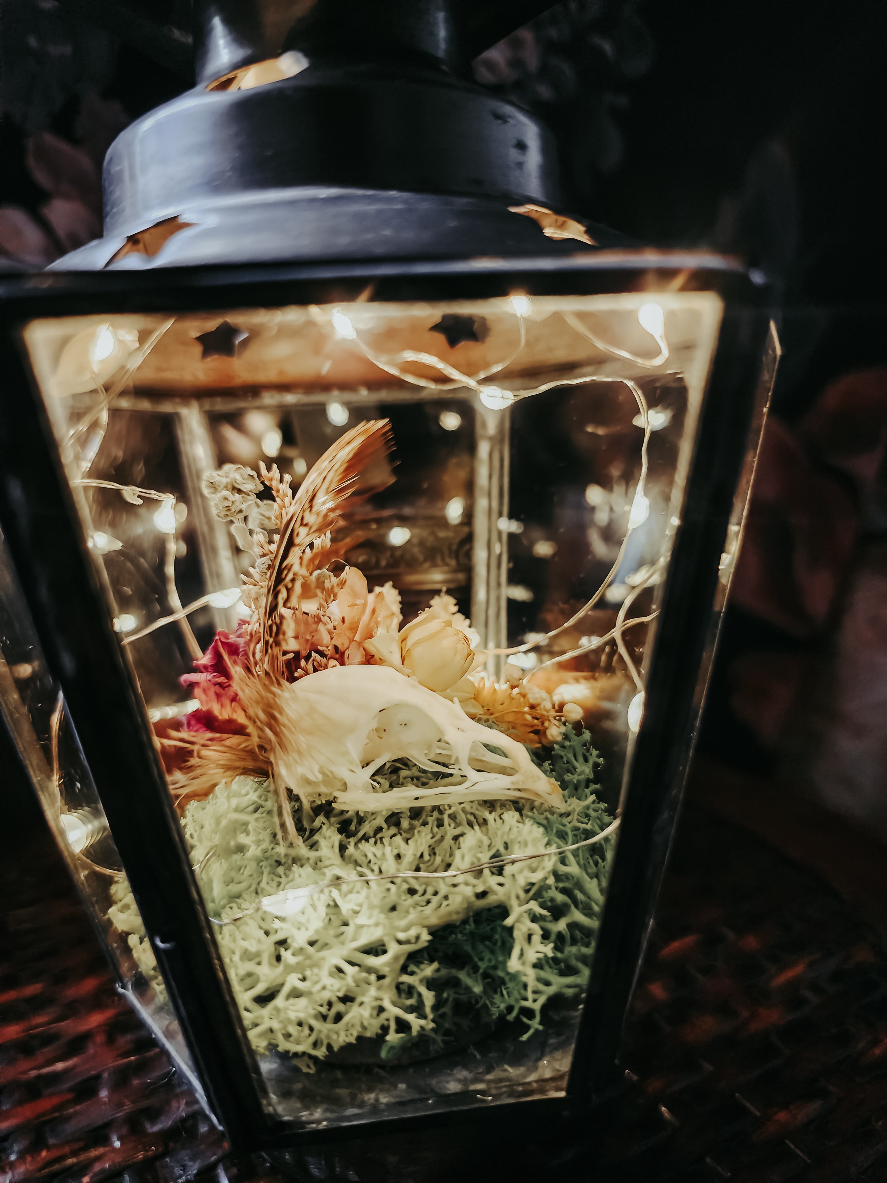 Quail Skull Lantern Display with Moss, Dried Flowers & Fairy Lights – Rustic Woodland Nature Décor