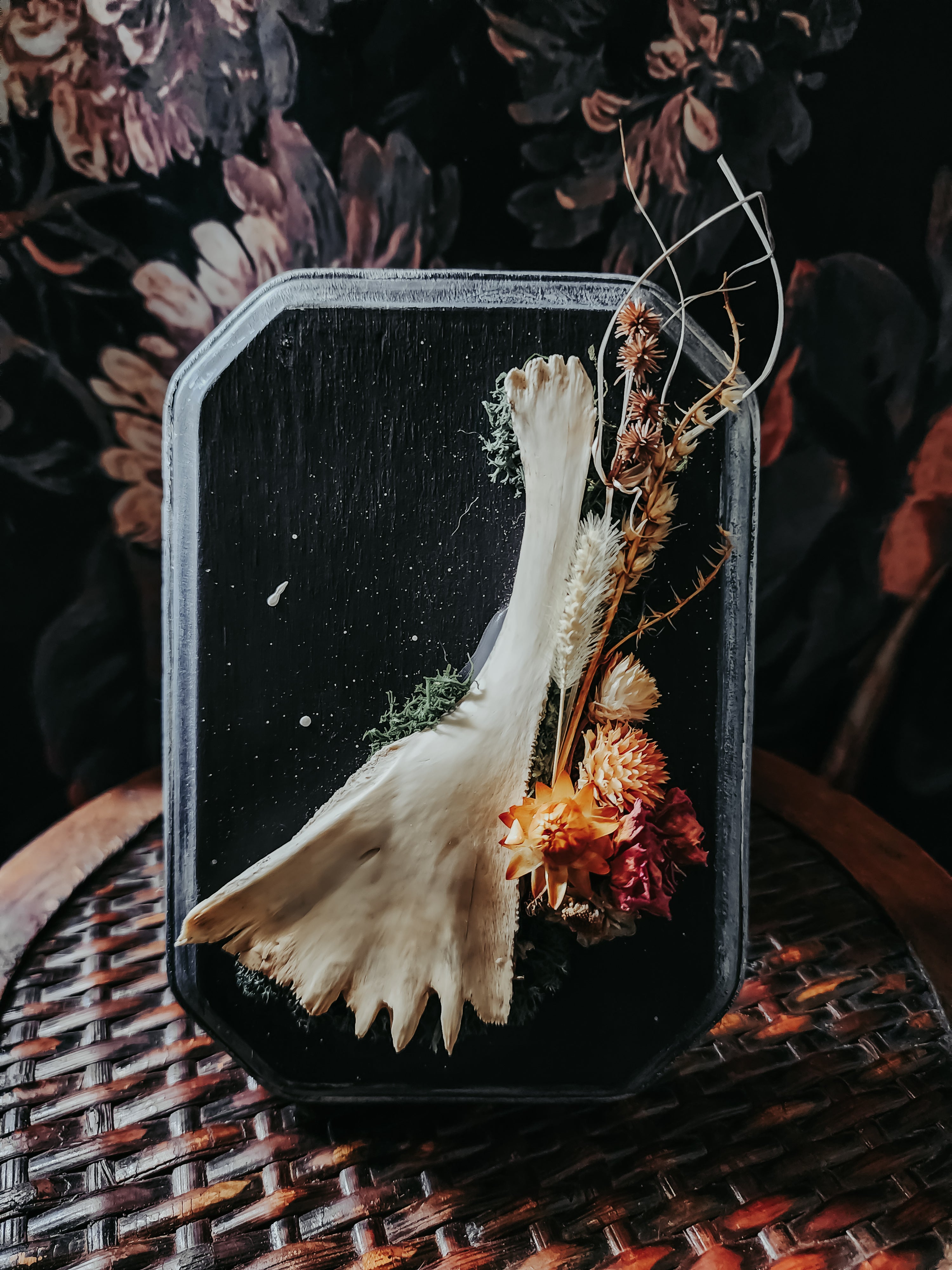 Turtle Bone Floral Arrangement on Painted Wood Plaque with Moss – Rustic Coastal Woodland Wall Display