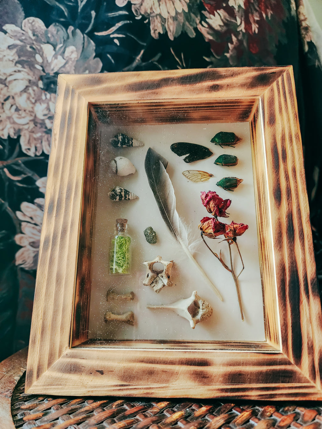 5x7 Wood Burned Shadow Box Natural Oddities Display – Curio Style Handmade Wall Art