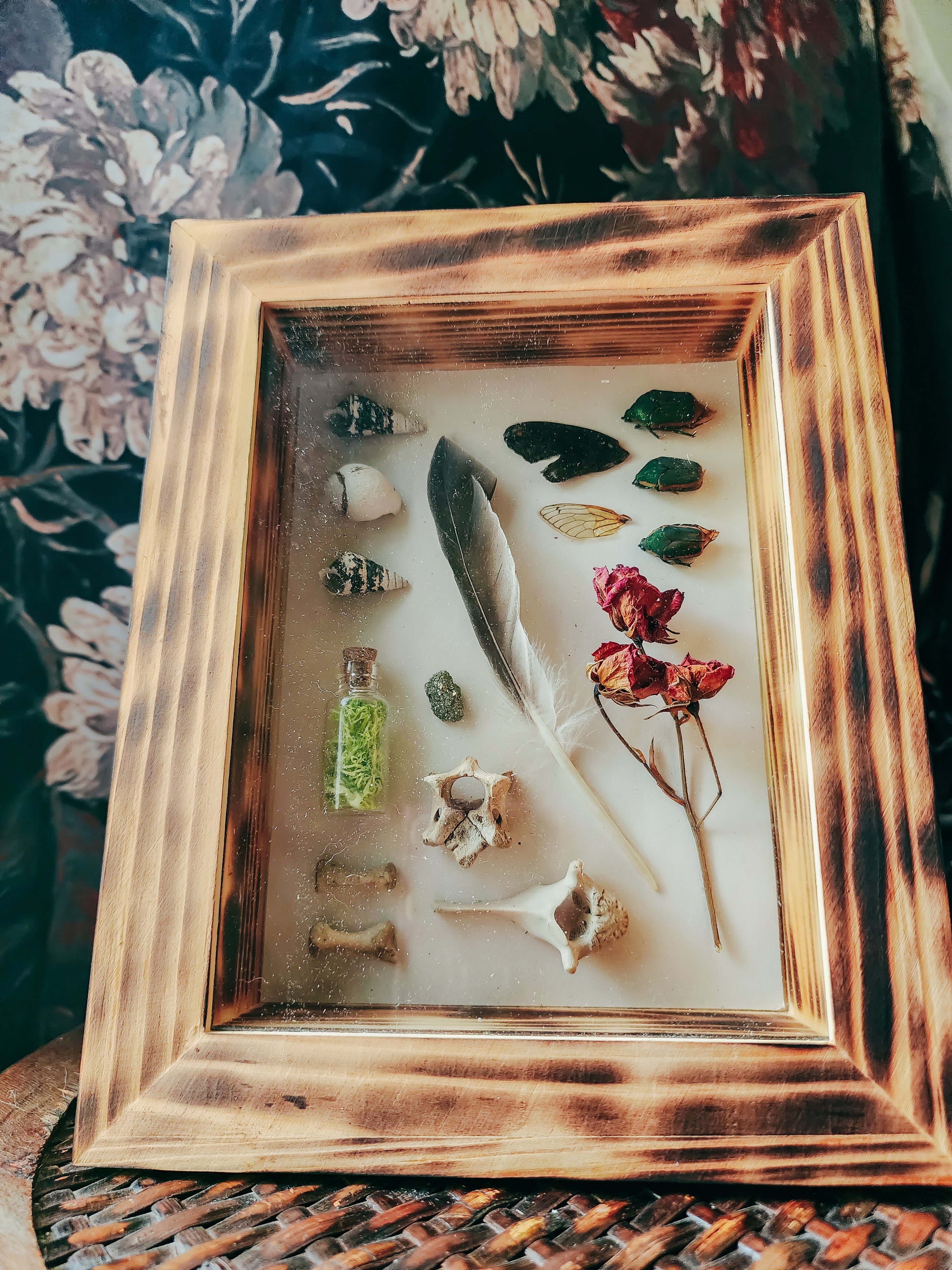 5x7 Wood Burned Shadow Box Natural Oddities Display – Curio Style Handmade Wall Art