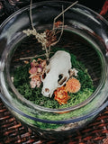 Mink Skull Glass Bowl Display with Moss & Dried Flowers – Woodland Curio Nature Décor