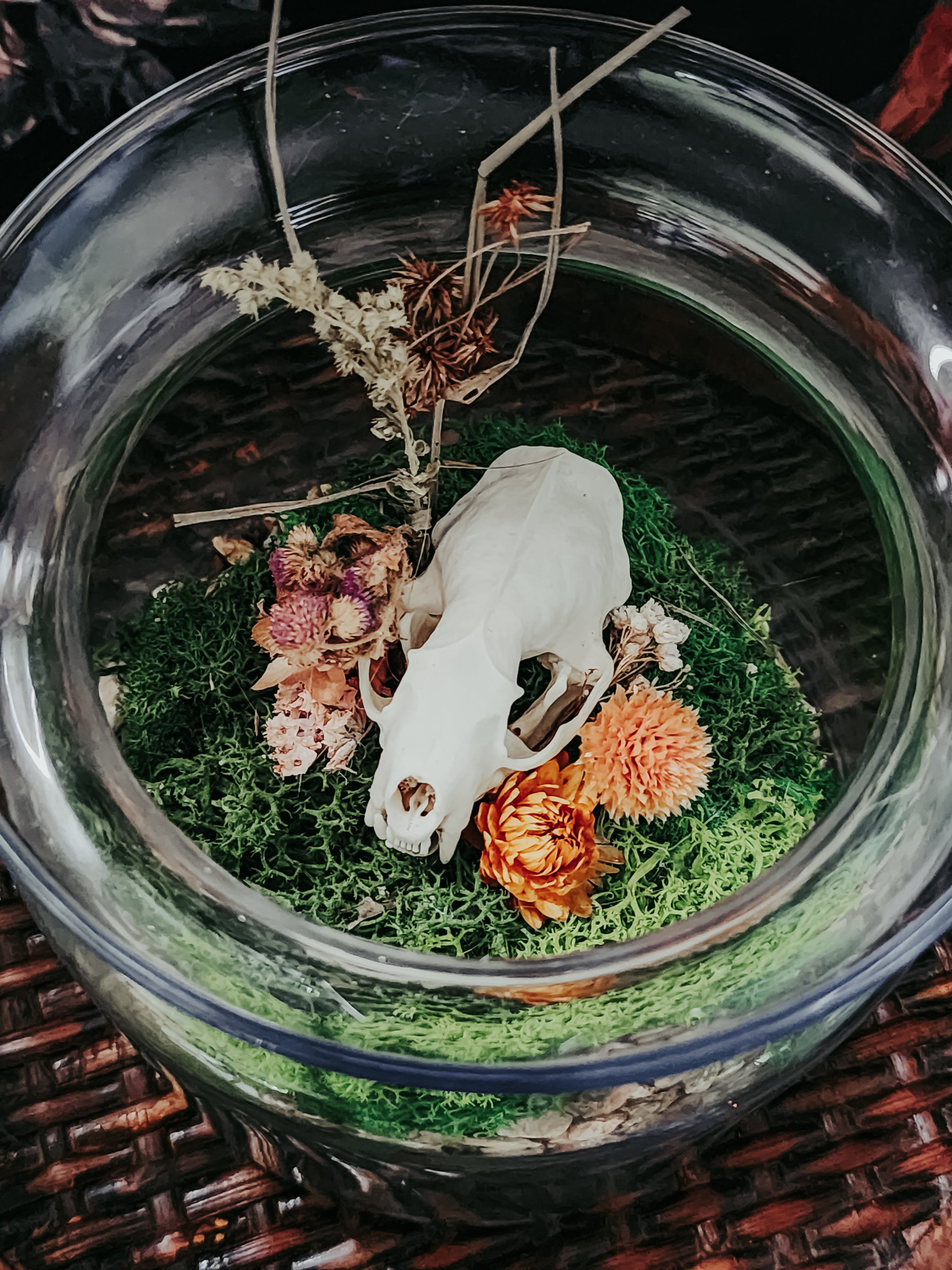 Mink Skull Glass Bowl Display with Moss & Dried Flowers – Woodland Curio Nature Décor