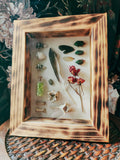 5x7 Wood Burned Shadow Box Natural Oddities Display – Curio Style Handmade Wall Art